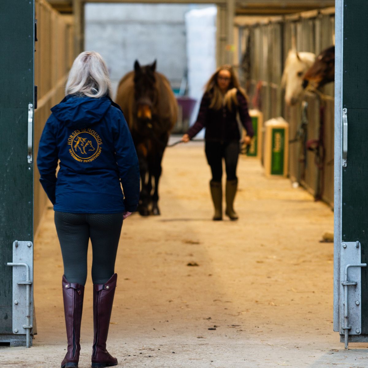 Lameness Workshop for Horseowners & Students