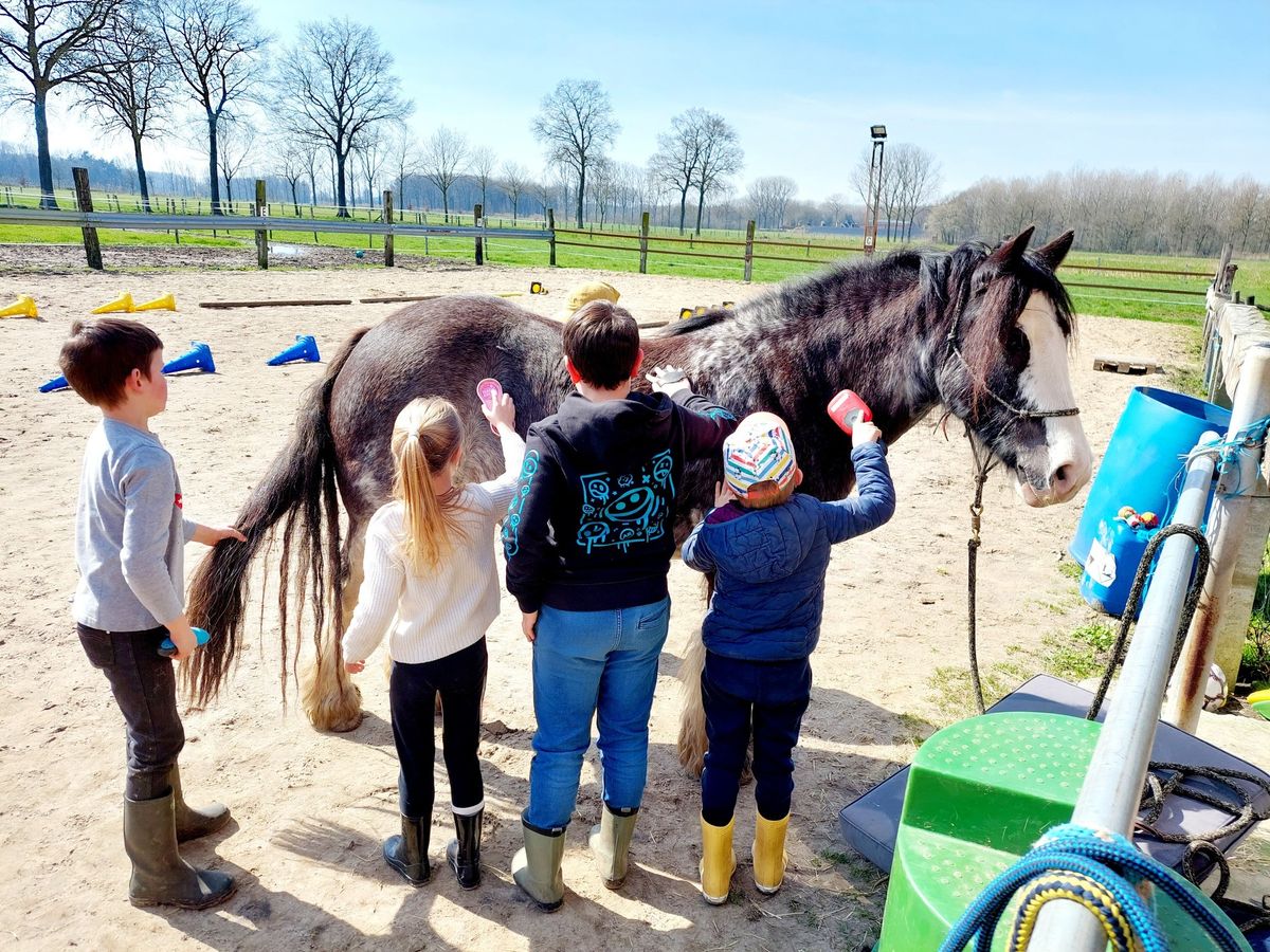 IN JE LIJF, UIT JE HOOFD! Voor kinderen van 7 tot 12 jaar.  