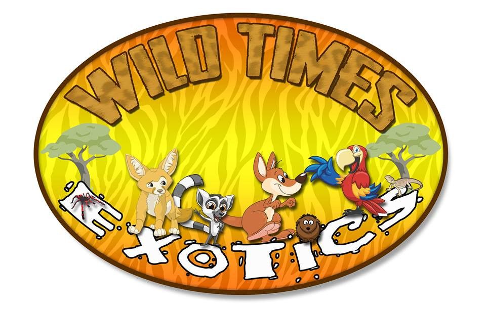 Wild Times Exotics animal show!