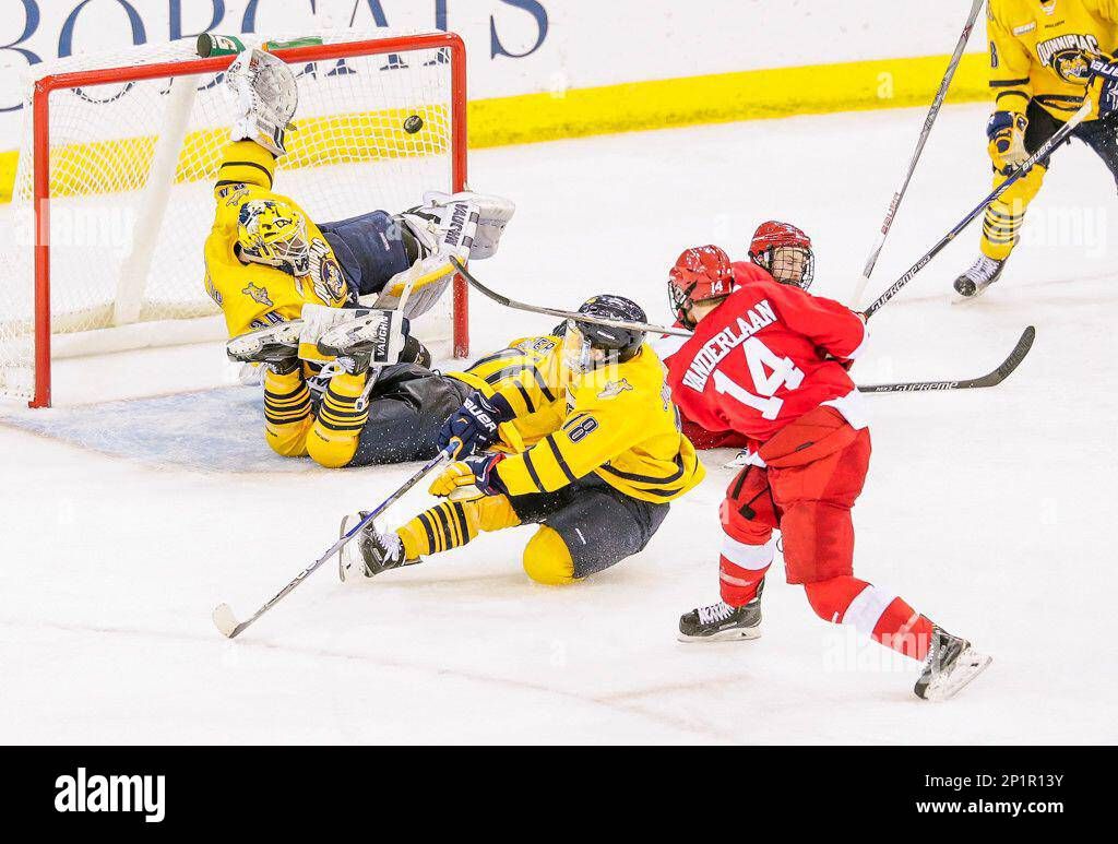 Quinnipiac Bobcats at Cornell Big Red Mens Hockey