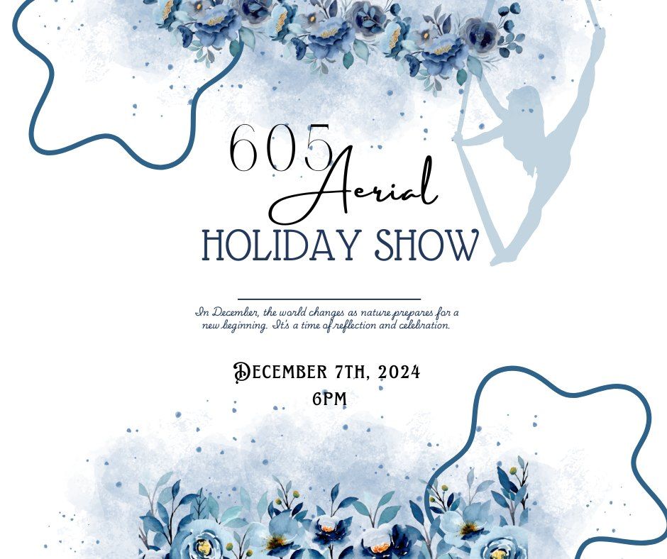 605 Aerial Holiday Show