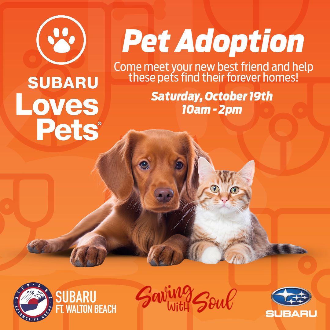 Subaru Loves Pets Adoption Event