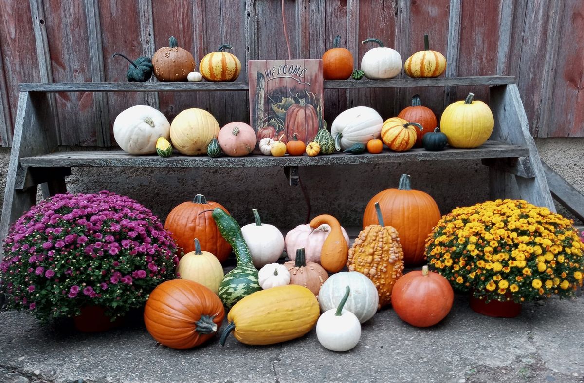 Opening Day at Farmer Johns Pumpkin Patch LLC