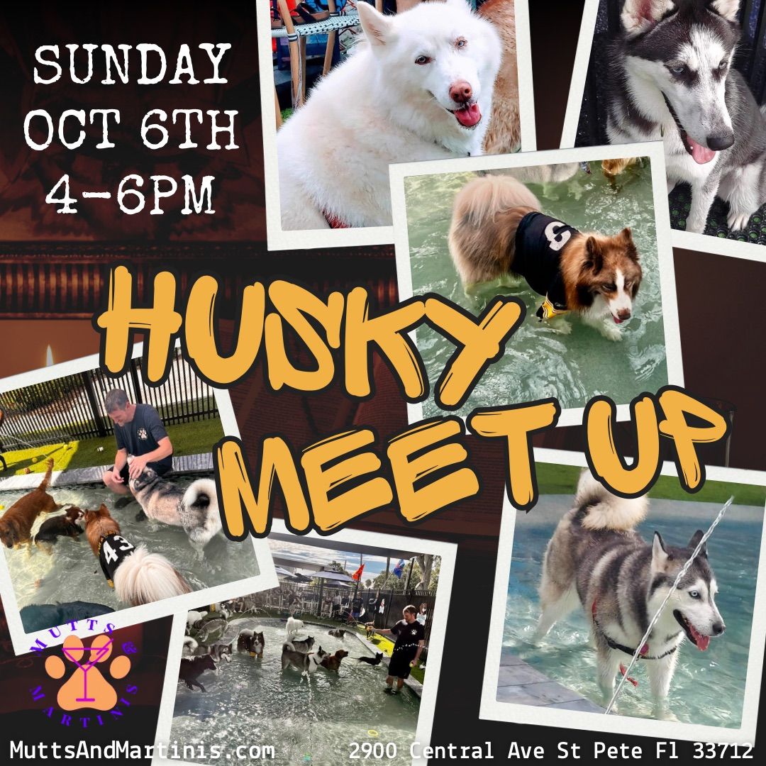 Husky Meet Up at Mutts & Martinis