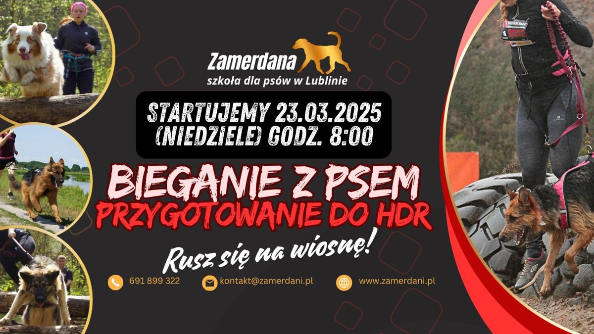 Bieganie z psem - przygotowanie do Hard Dog Race