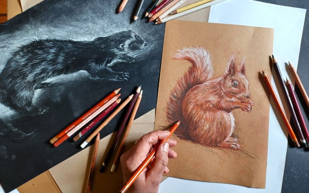 Love Mammals: Drawing Day