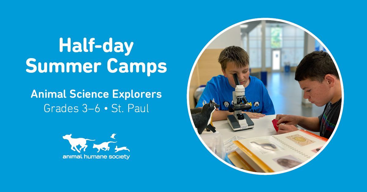 Half-day Summer Camps: Animal Science Explorers