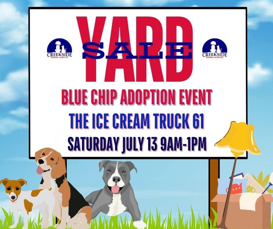 Yard Sale at Creekside Animal Hospital!