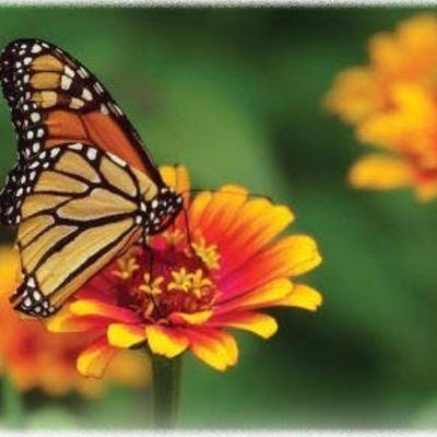 Friends of Monmouth County Park System, Inc.