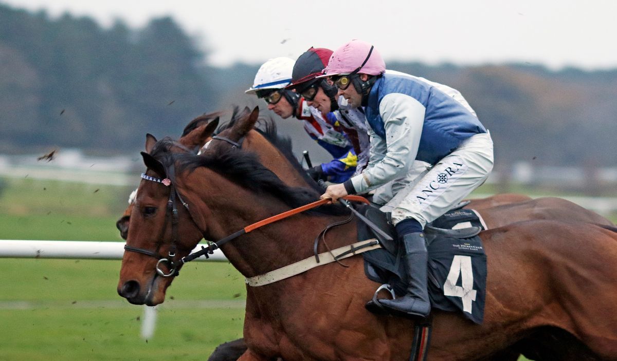 Afternoon Racing at Market Rasen Racecourse 