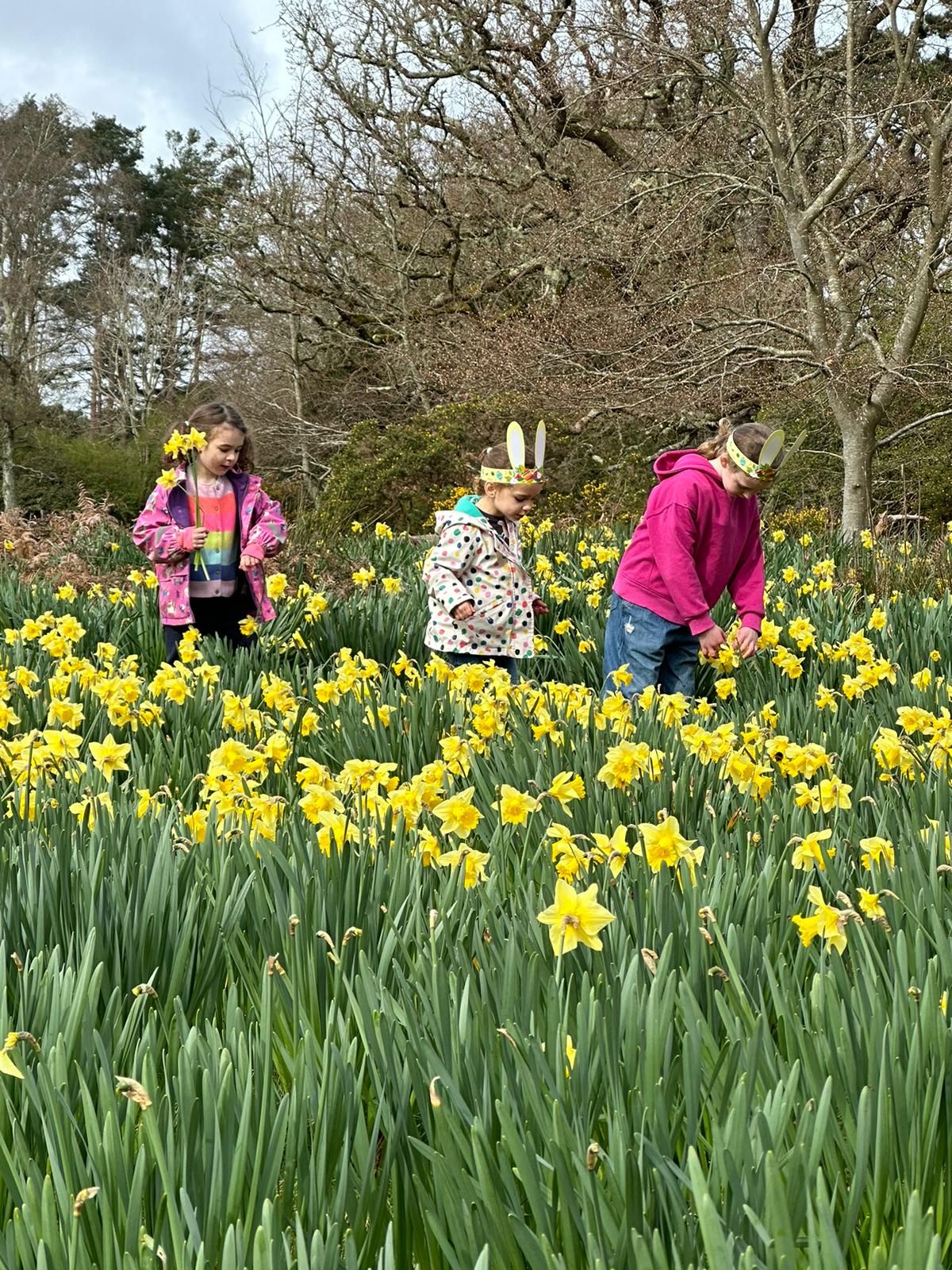 Easter egg hunt on Brownsea Island