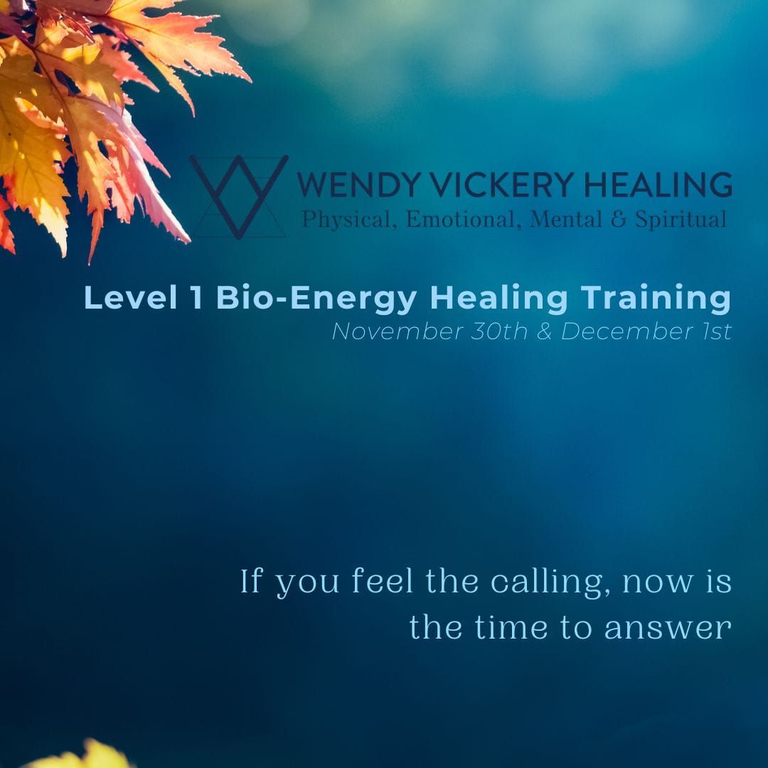 Introduction to Bio- Energy Healing Level 1 training with Wendy Vickery