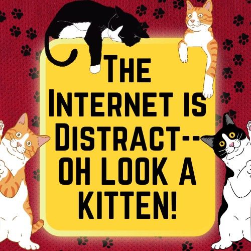 The Internet is Distract--OH LOOK A KITTEN! Workshop