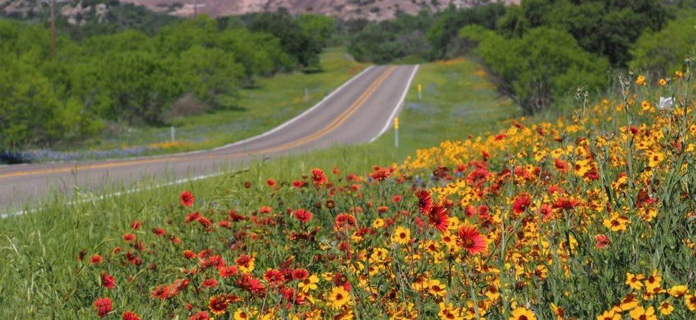 STAR in The Capital of The Texas Hill Country