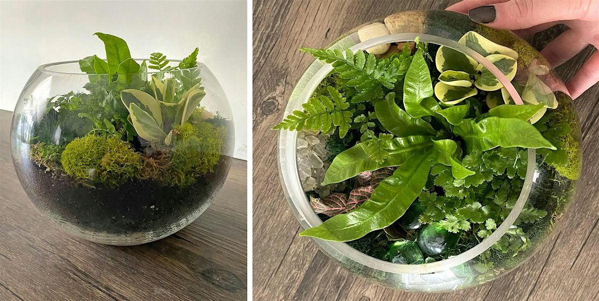 Make-n-Take : Terrariums at Mahoney's Falmouth