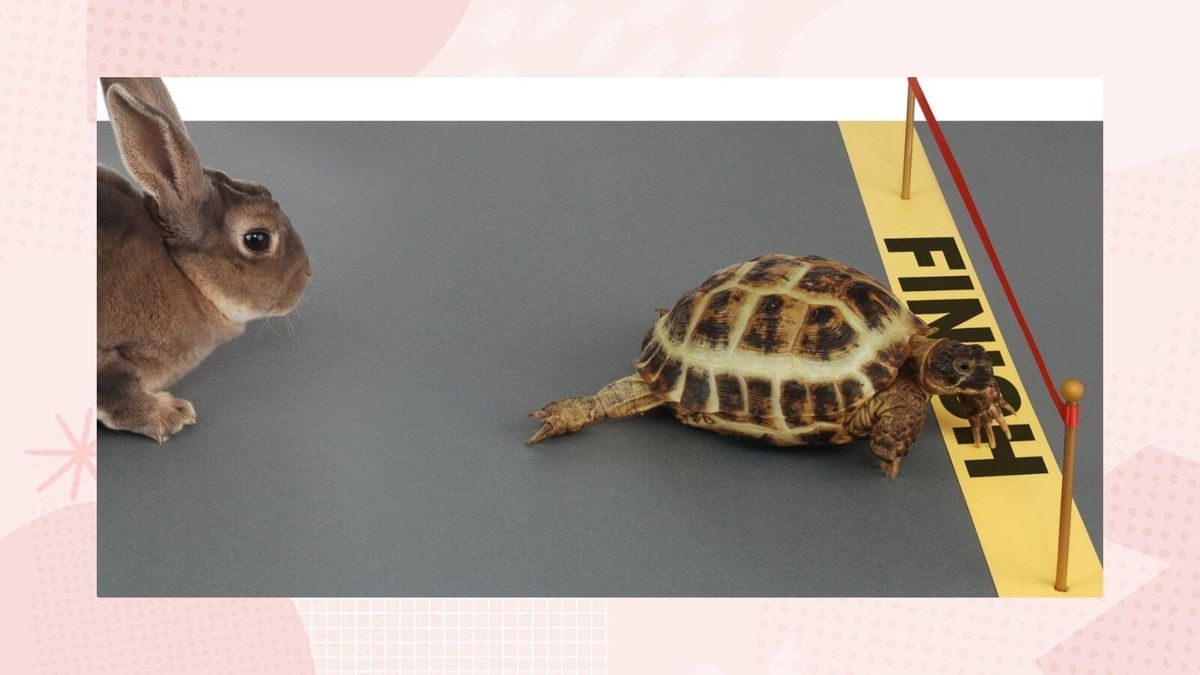 Hare and Tortoise