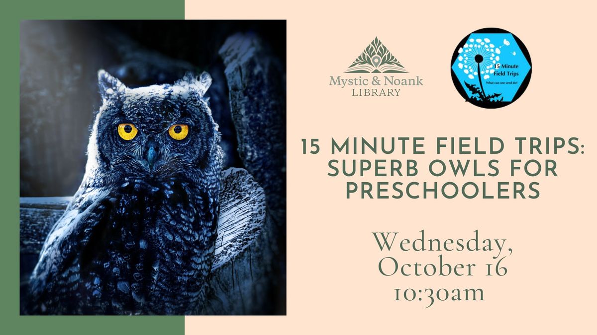 15 Minute Field Trips: Superb Owls for Preschoolers