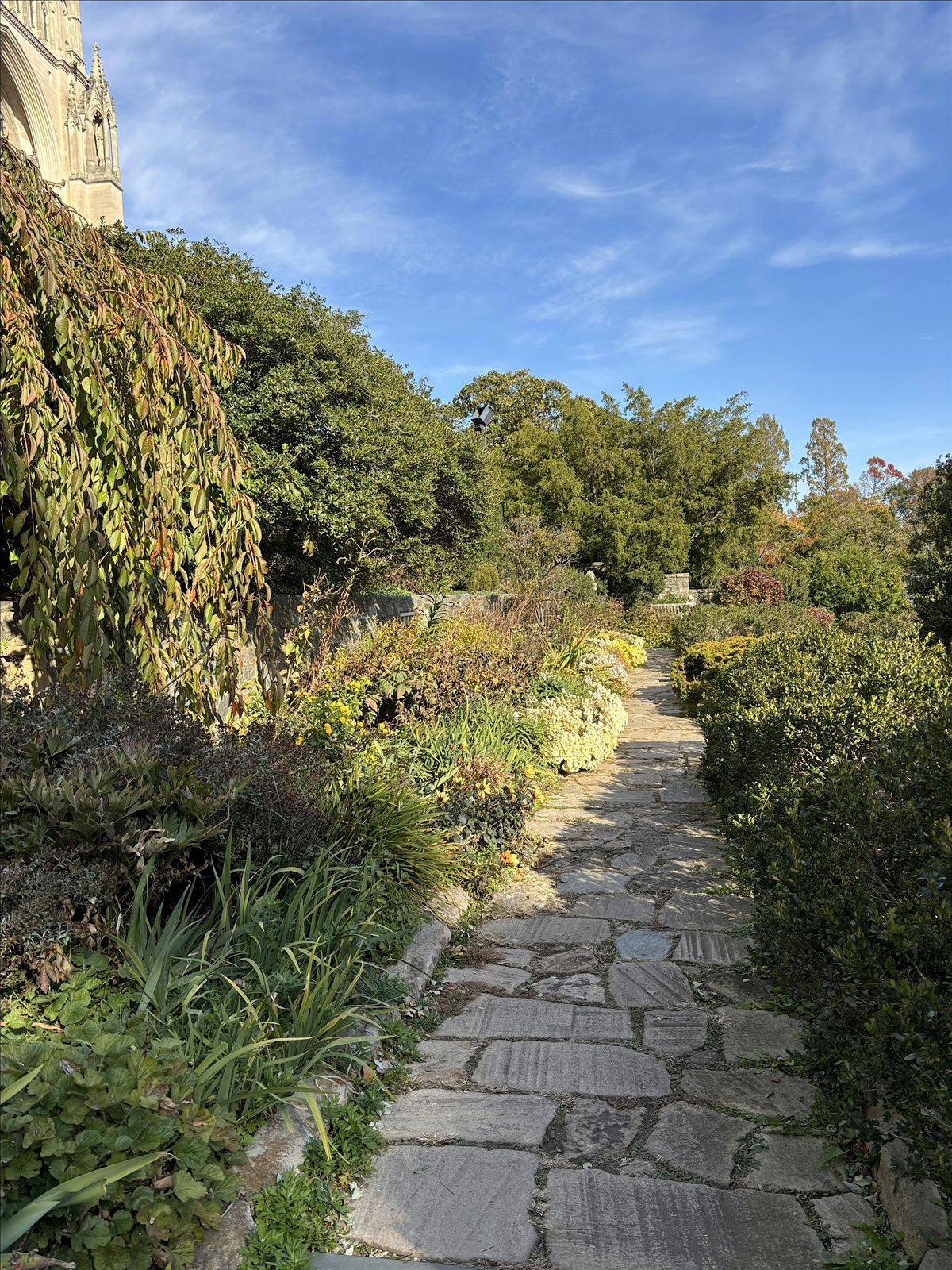 Nature Immersion Experience