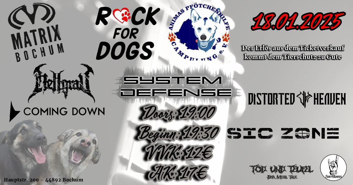 ROCK FOR DOGS - MATRIX BOCHUM