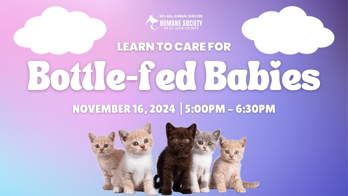 Learn to Care for Bottle-fed Babies