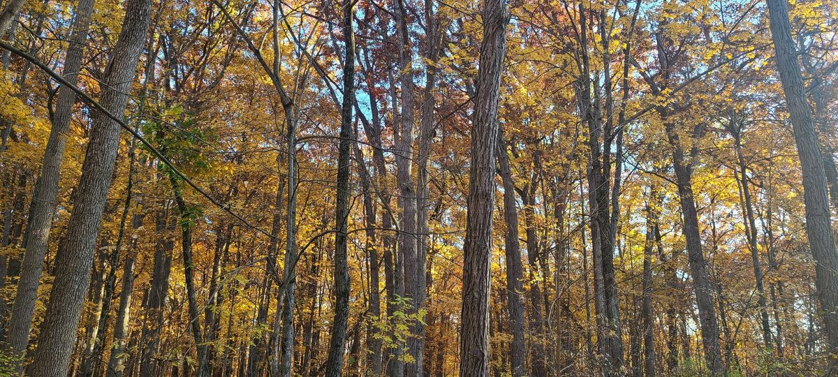 November Drum & Journey Circle