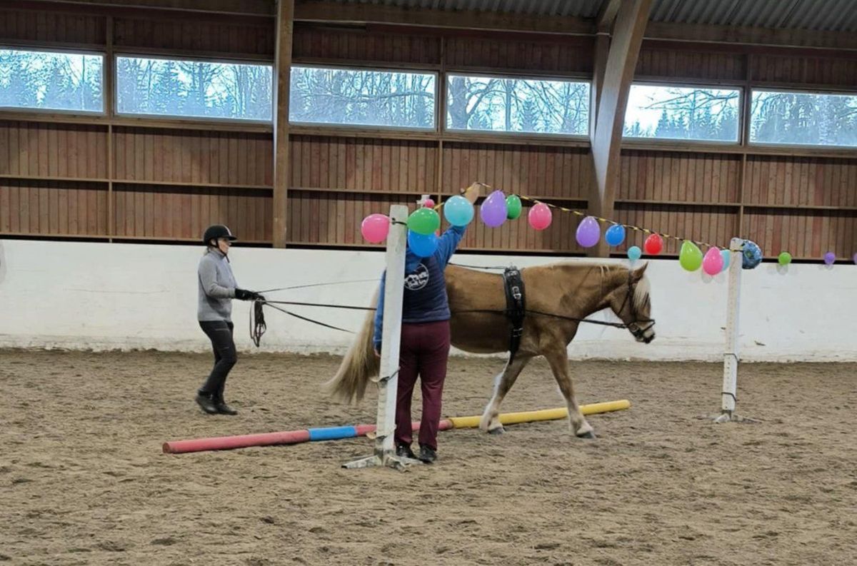 Skeid med Hedemarken D\u00f8lahestlag 