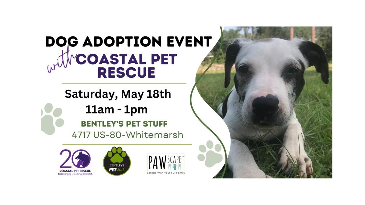 Adoption Event with Coastal Pet Rescue 