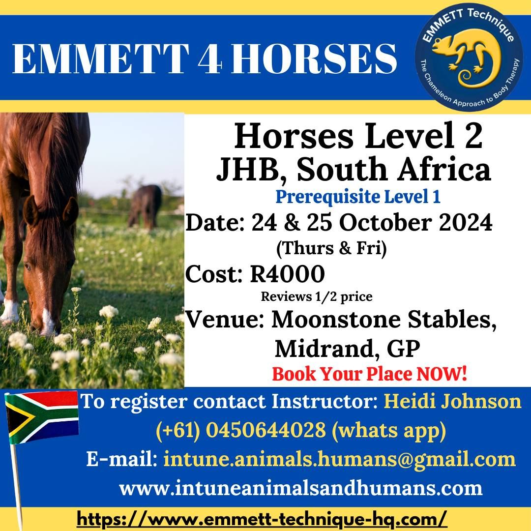 EMMETT 4 Horses - Level 2 - Midrand, GP, South Africa - 24 & 25 October 2024