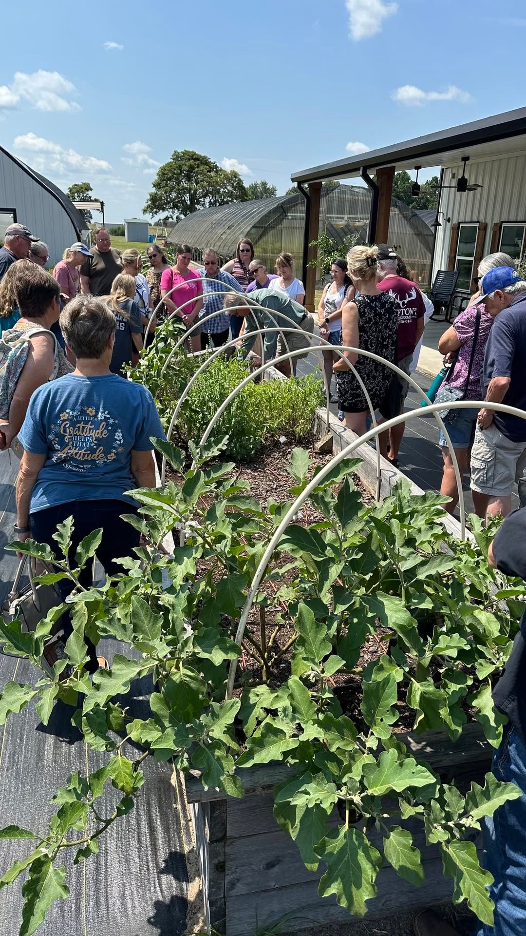 Square Foot Gardening 