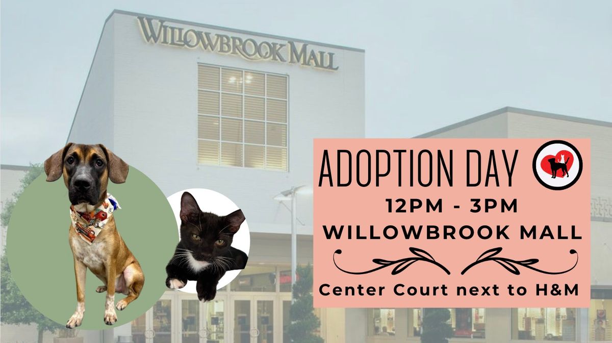 Adoption Day at Willowbrook Mall