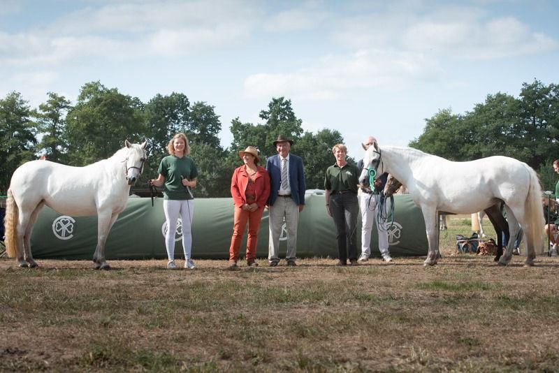 Connemara Pony Bundesschau 2025 