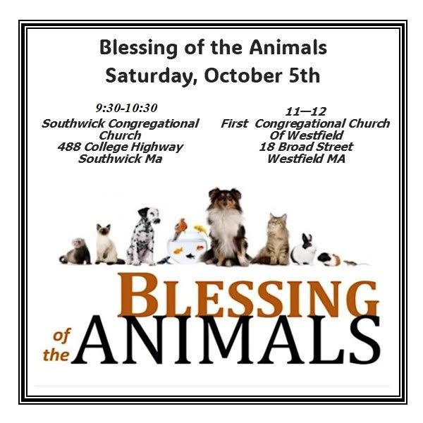 Blessing of the Animals