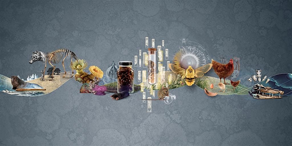 Weird and Wonderful: Scavenger Hunt