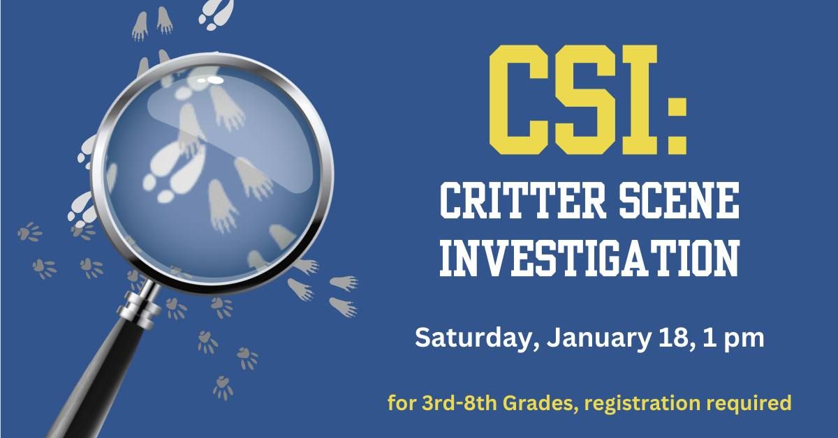 CSI: Critter Scene Investigation