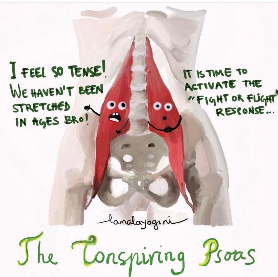 SPECIAL: XL Psoas & Stress Release