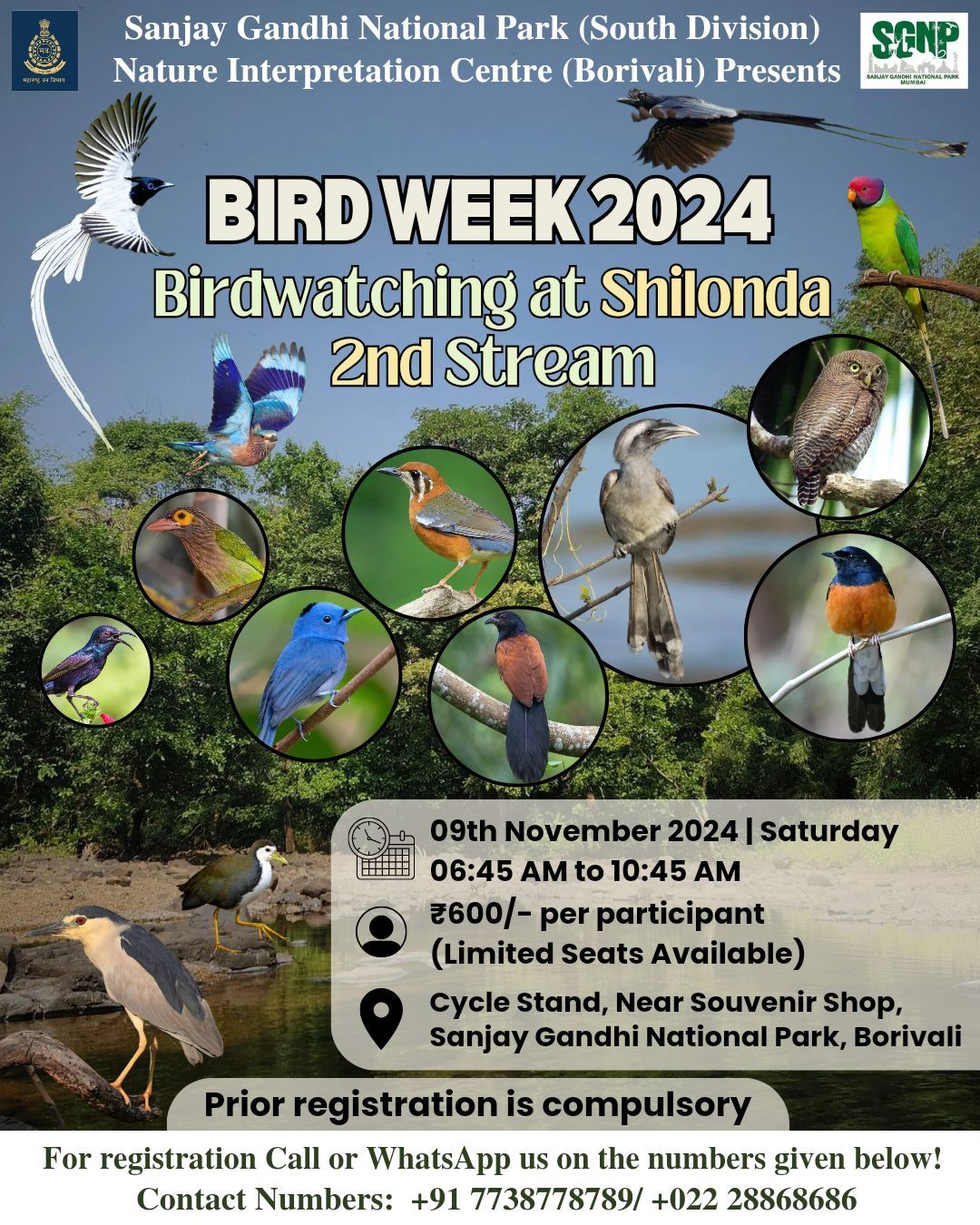 Bird Week Special: Guided Bird Walk at Shilonda's Second Stream