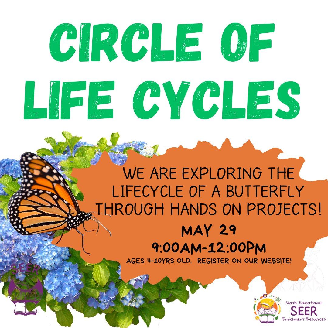 Butterfly Life Cycle Class - Extended class!