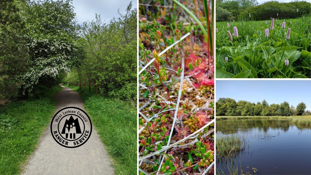 Black Moss Volunteer Session