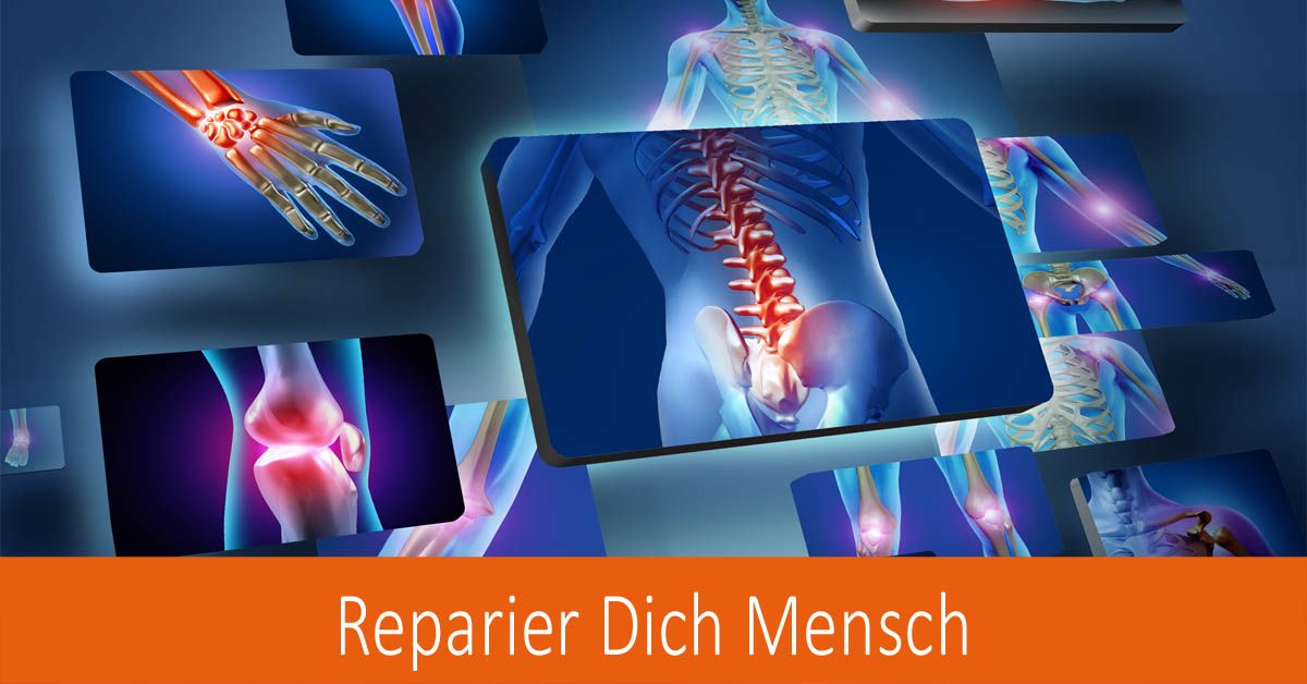 Reparier Dich Mensch - W\u00fcrzburg