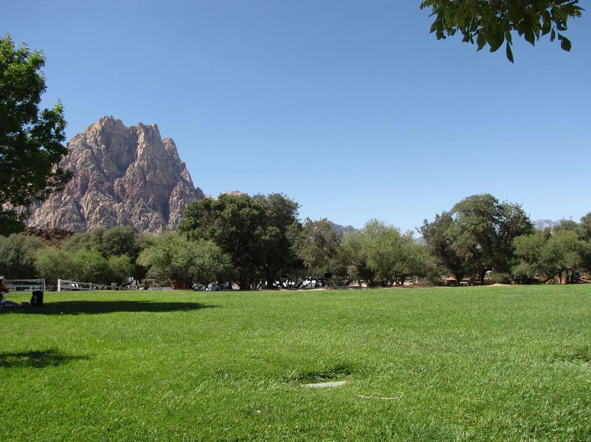 An Afternoon at Spring Mountain Ranch