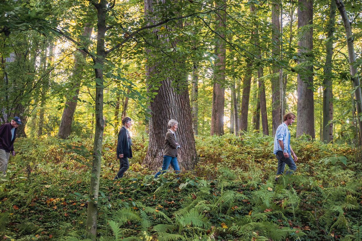 Garden & Estate Insider: Autumn Walk through the March Bank