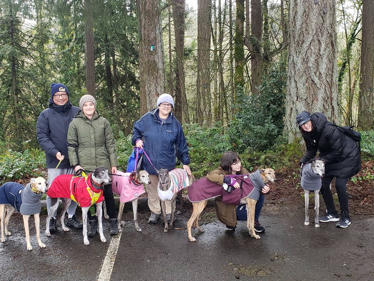 Noble woods park greyhound walk