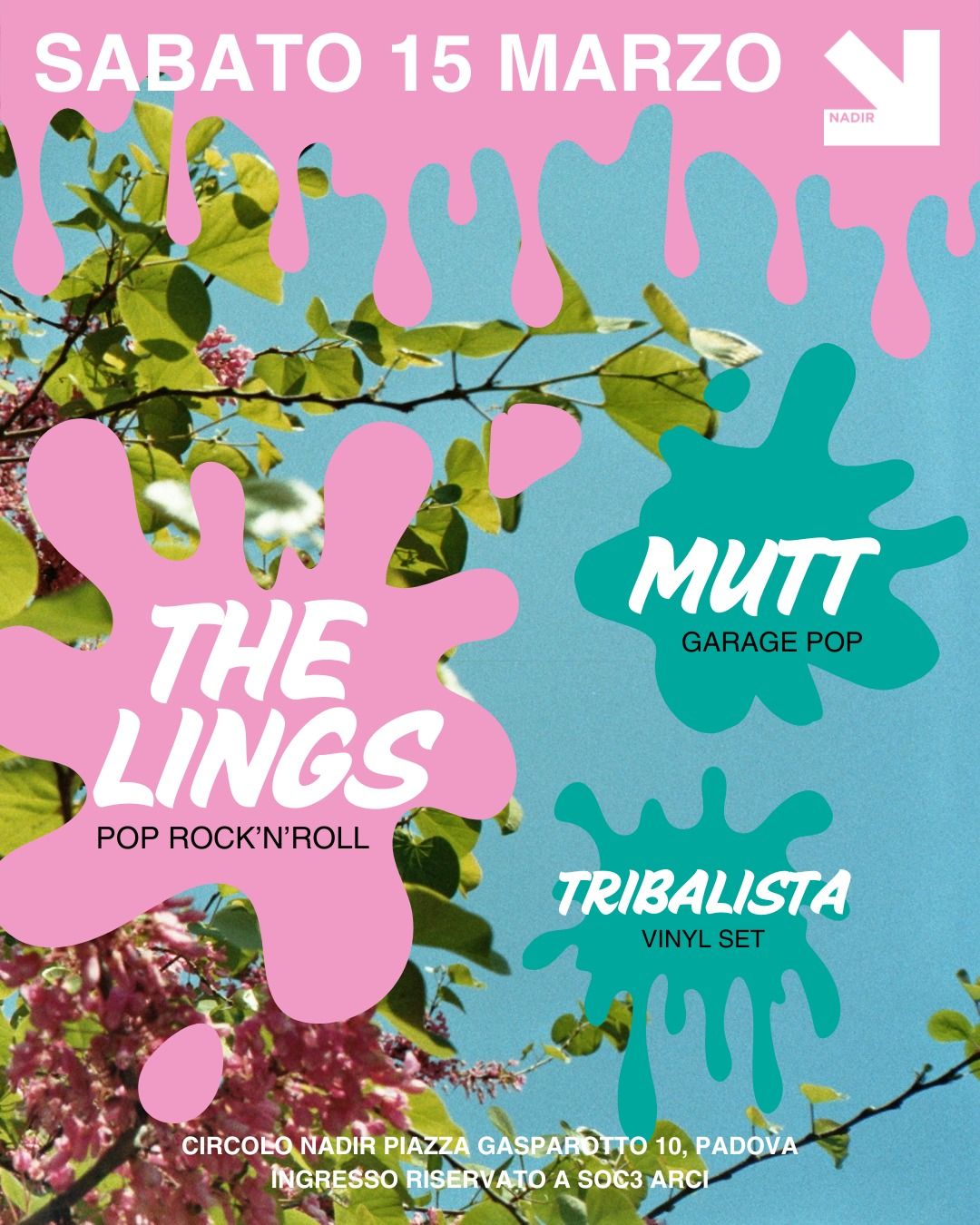 THE LINGS + MUTT \/ TRIBALISTA vinyl set