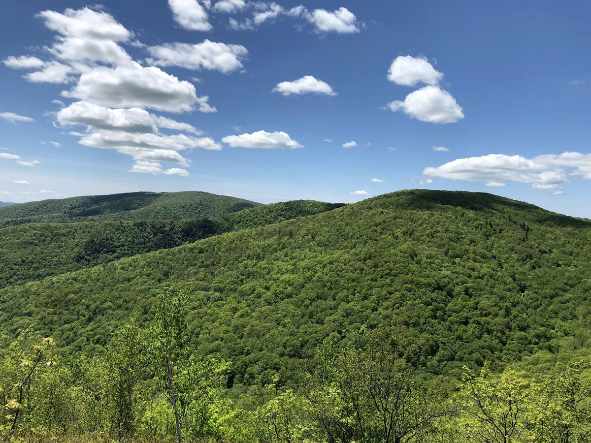 2024 Taconic Hiking Clubs EndtoEnd Challenge, Berry Pond, Pittsfield
