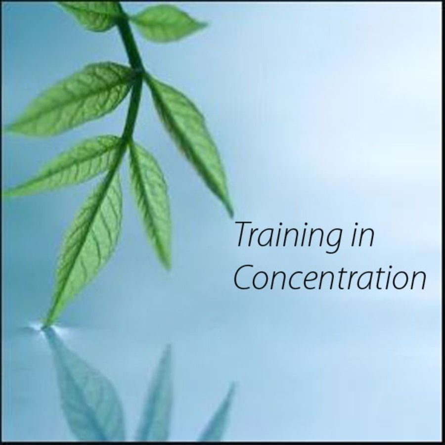 Improving Concentration - part one: day course 