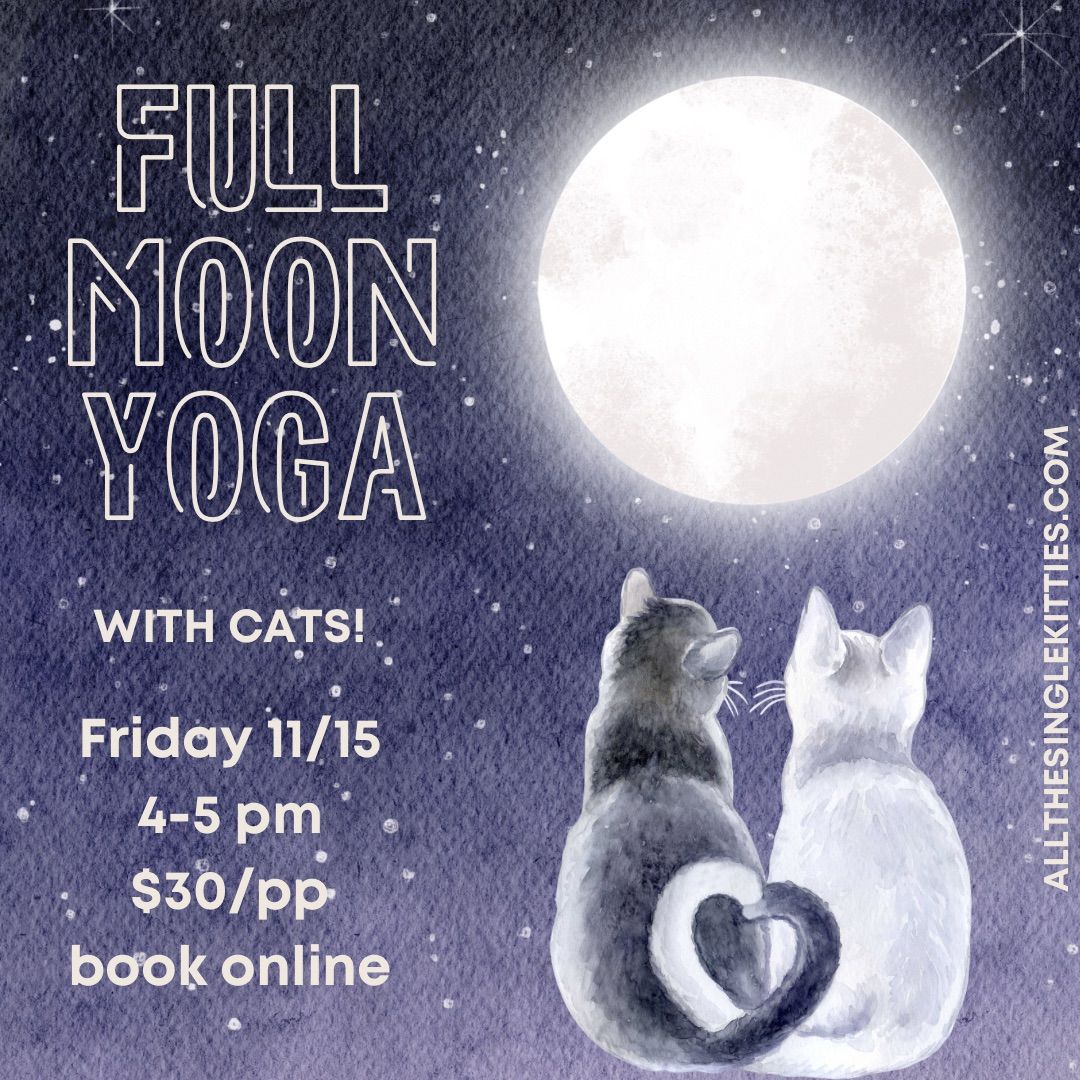 Full Moon Yoga with Cats!