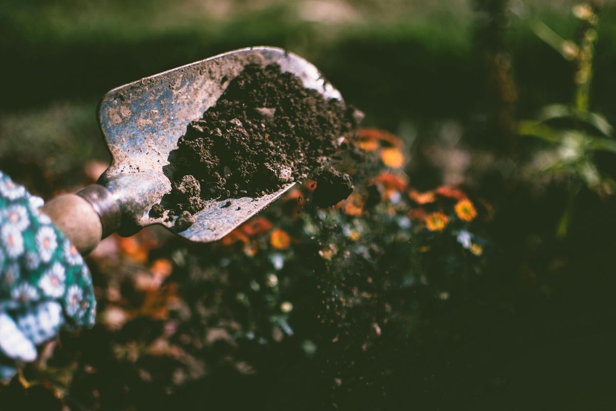 The Power of Healthy Soil: Two Farmers\u2019 Stories of Falling in Love with Regenerative Agriculture 