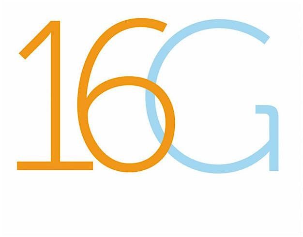 16 GUIDELINES LEVEL 2 NOVEMBER 15 & 16 2025