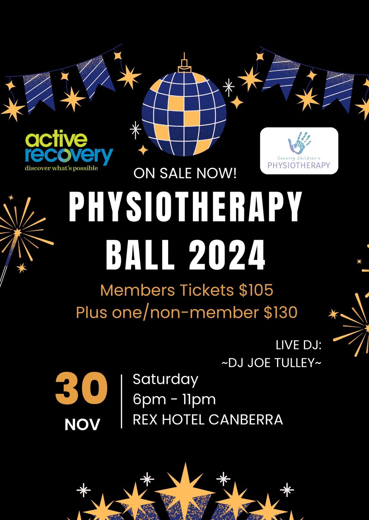 Physiotherapy Ball 2024