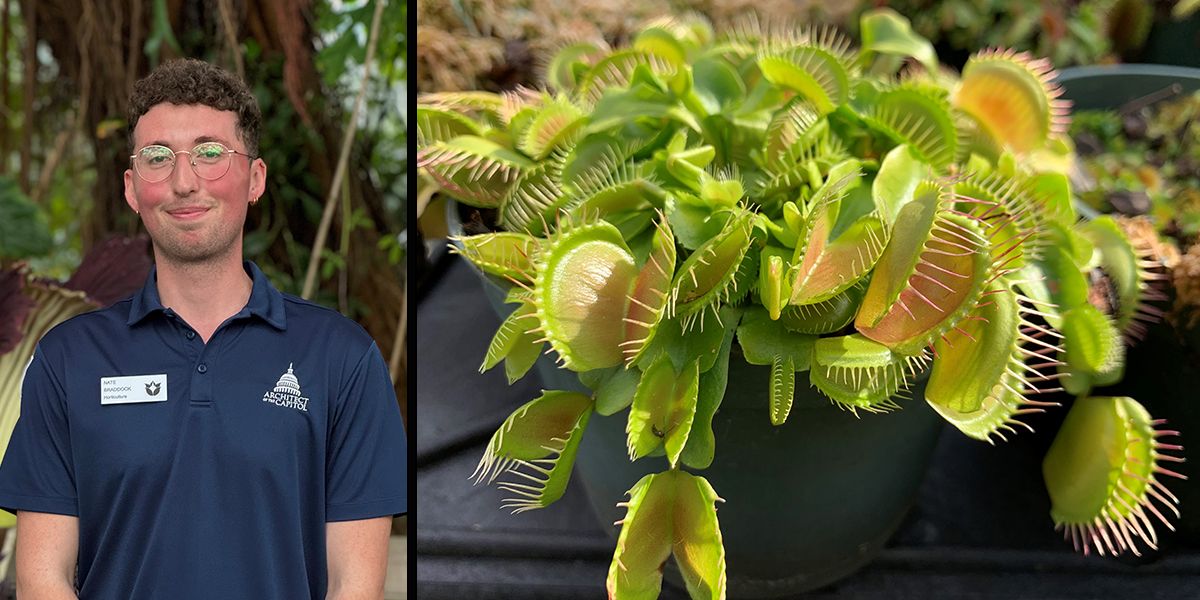 Expert Is In: Carnivorous Plants (On-site Drop-in Program)